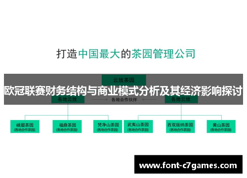 欧冠联赛财务结构与商业模式分析及其经济影响探讨