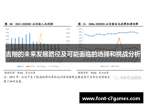吉翔的未来发展路径及可能面临的选择和挑战分析