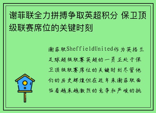 谢菲联全力拼搏争取英超积分 保卫顶级联赛席位的关键时刻 谢菲联全力拼搏争取英超积分 保卫顶级联赛席位的关键时刻