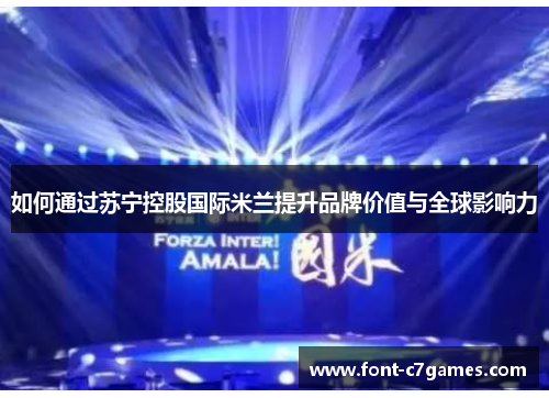 如何通过苏宁控股国际米兰提升品牌价值与全球影响力 如何通过苏宁控股国际米兰提升品牌价值与全球影响力